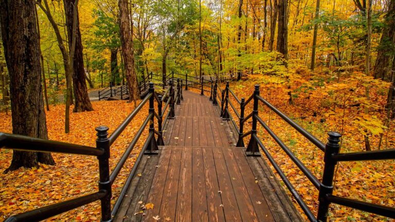 Comment les convertis peuvent-ils mieux se connecter avec le prophète Mahomet ?