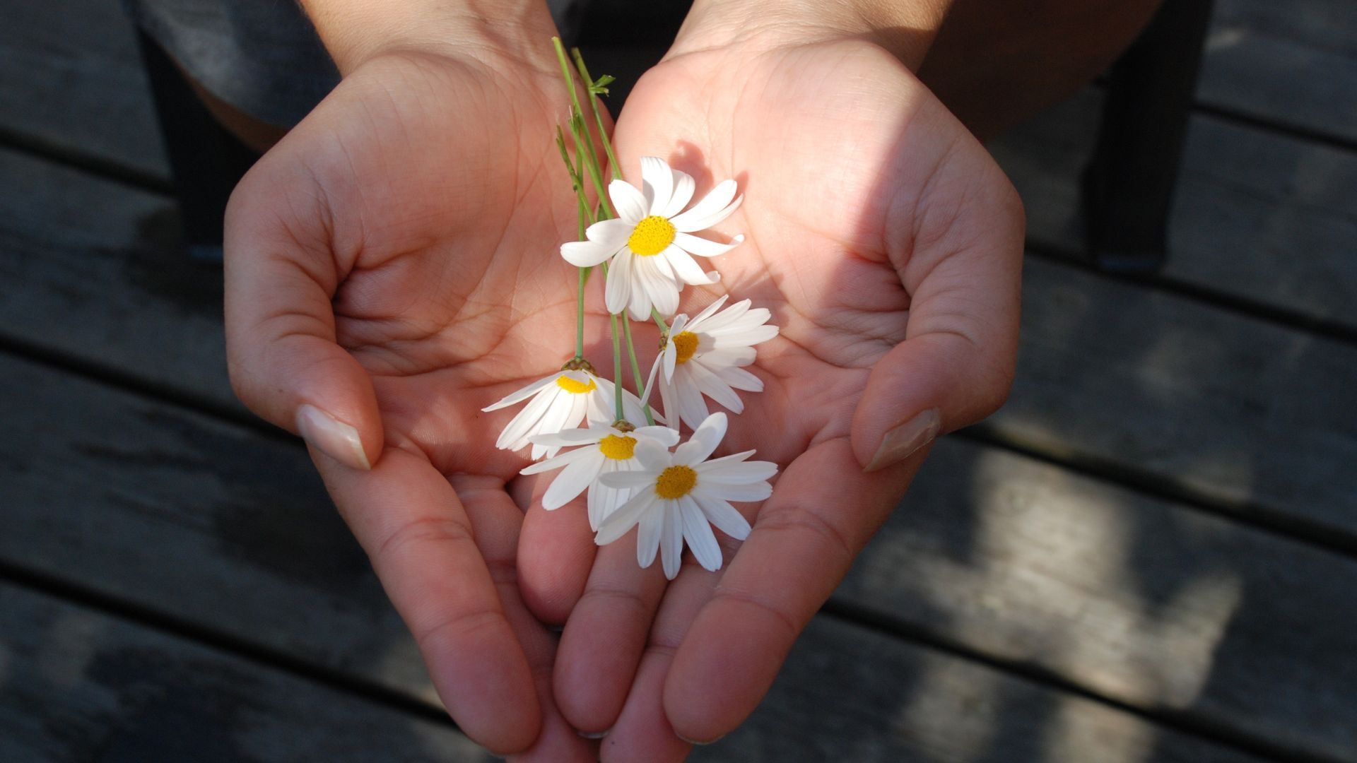 Les parents disent qu'ils couperont les ponts si je l'épouse