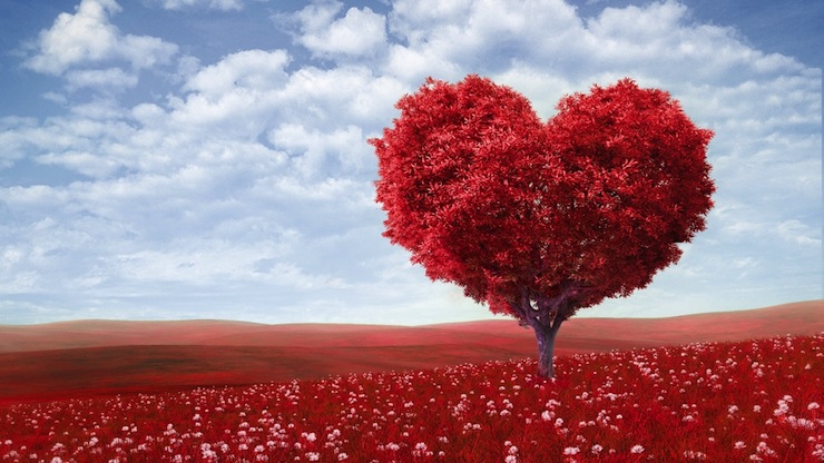 8 types de cœur différents