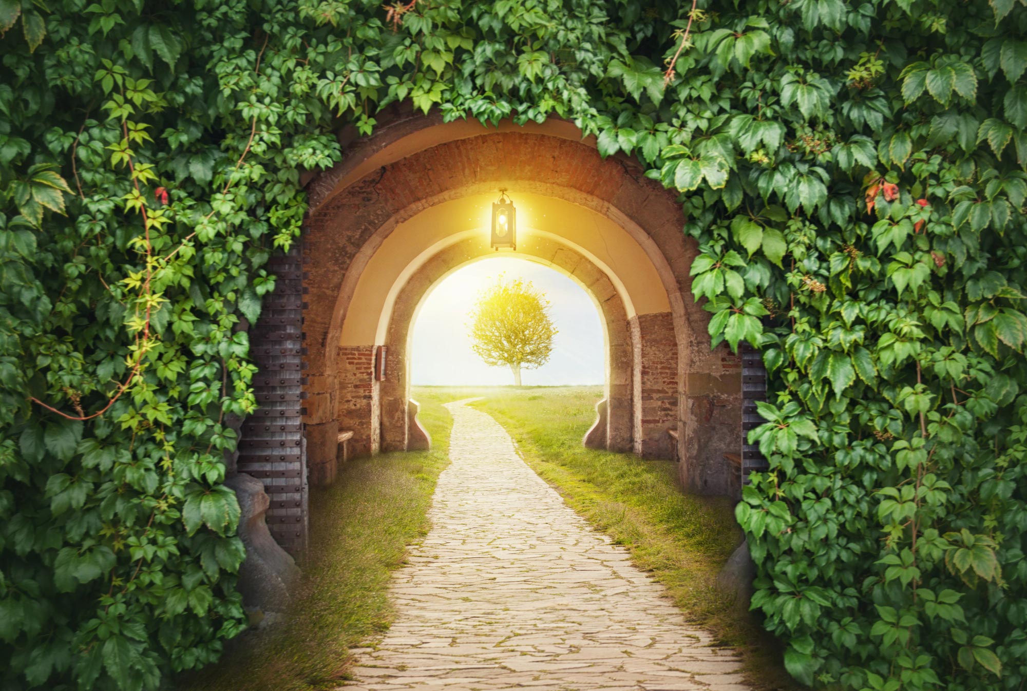 5 propriétés immobilières à acheter au paradis