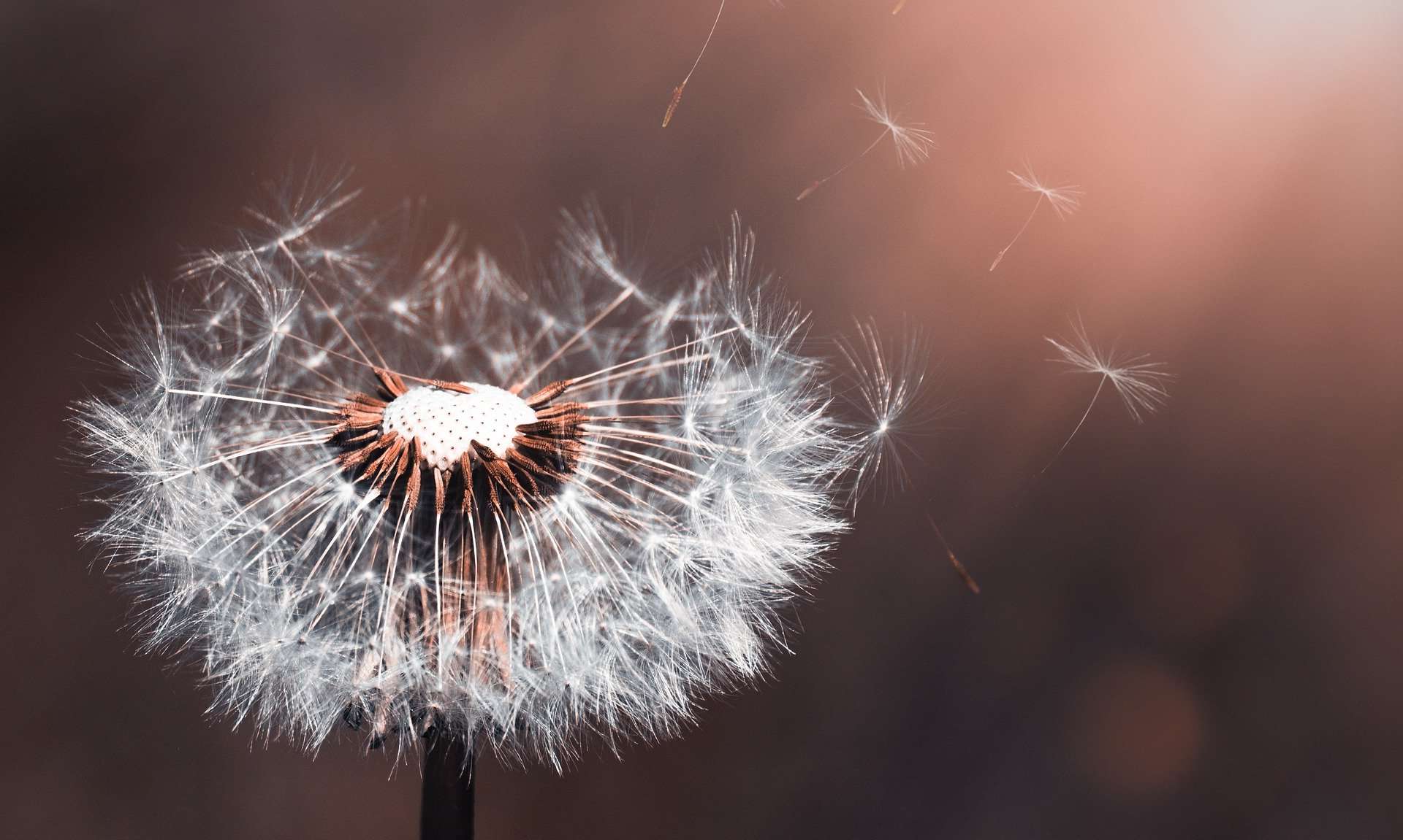 Combien de temps une femme peut-elle supporter l’absence de son mari ? Umar demande