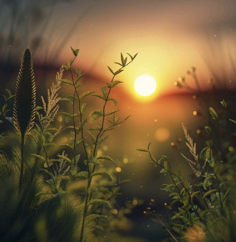 Conseils Q/R sur la santé mentale et spirituelle