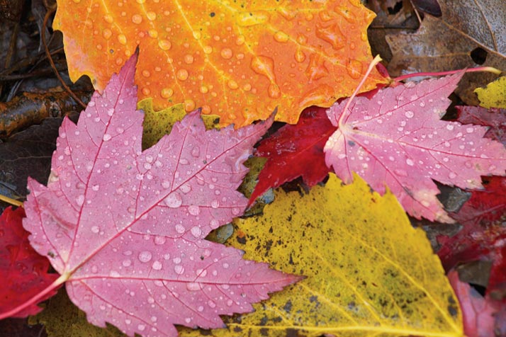 Entre hommes et femmes, qu’est-ce que la crise de la quarantaine ?