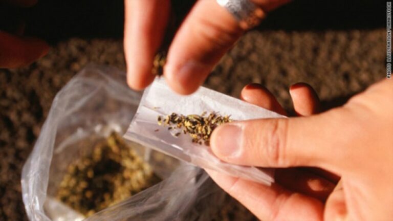 Mon frère toxicomane ; Mouton noir de la famille