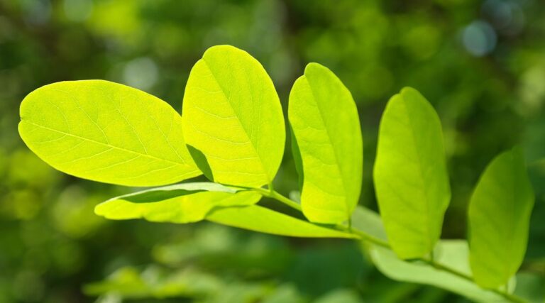 Plus de 60 branches de foi : comment établir des priorités