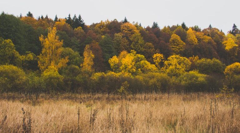 Sauter des prières signifie-t-il que je ne suis plus musulman ?