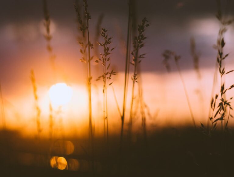 Vous pouvez obtenir une récompense continue même après votre décès… Voici comment procéder