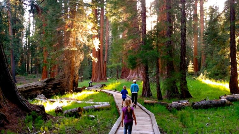 Comment construire un mariage interreligieux réussi ?