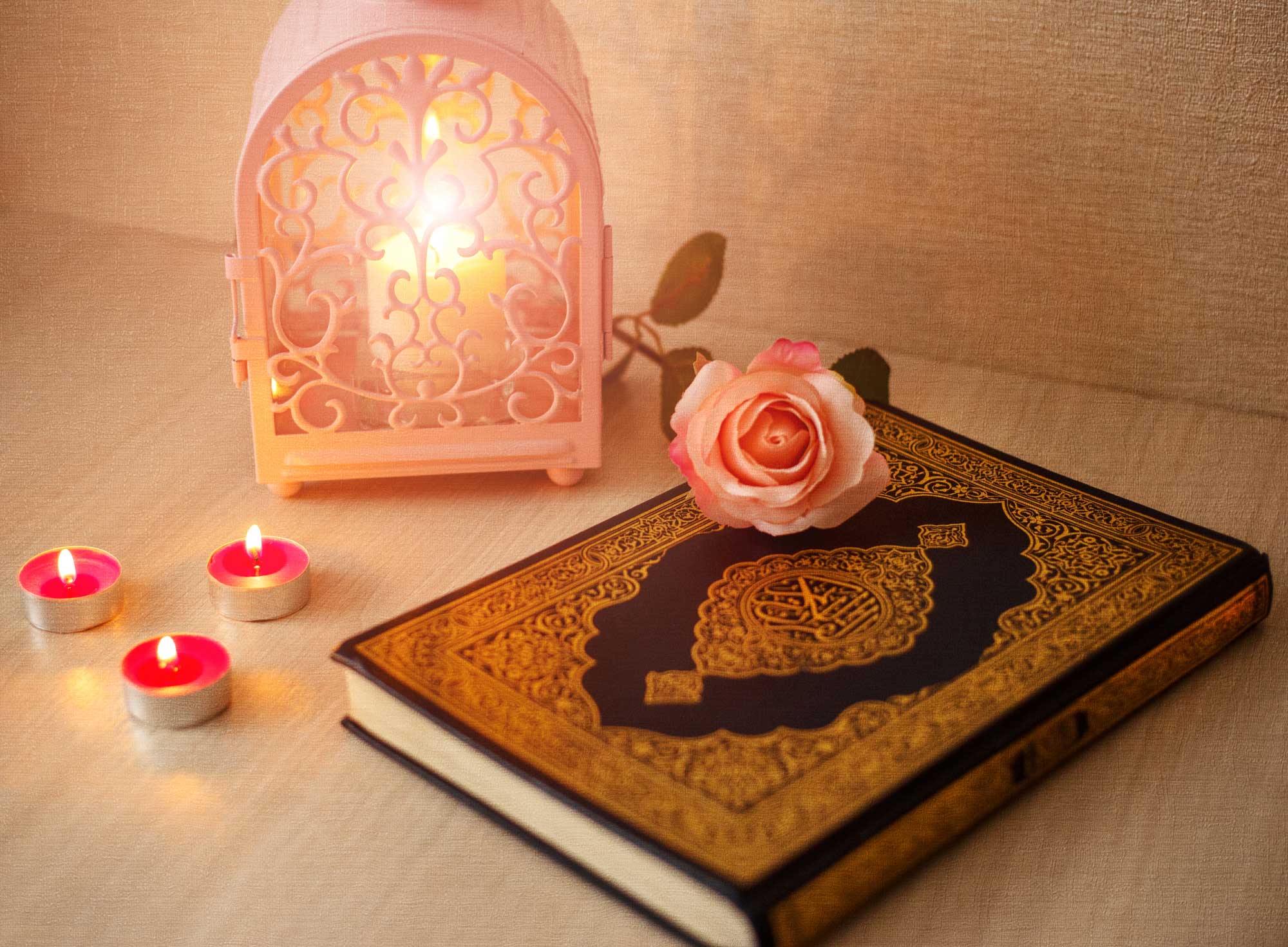 Pourquoi Hayaa est-elle si importante ?