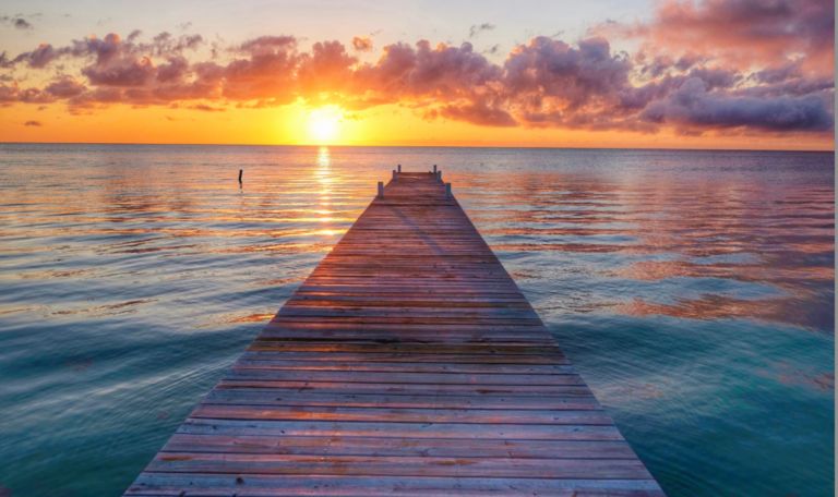 Cinq façons de promouvoir la paix autour de vous