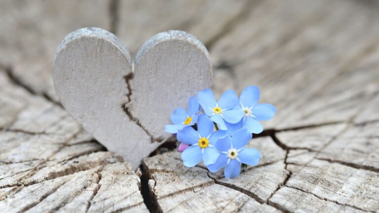 Coeur scellé; Je veux récupérer mon Imaan (foi) !