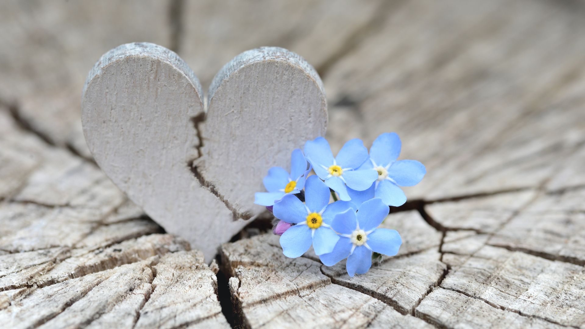 Coeur scellé; Je veux récupérer mon Imaan (foi) !