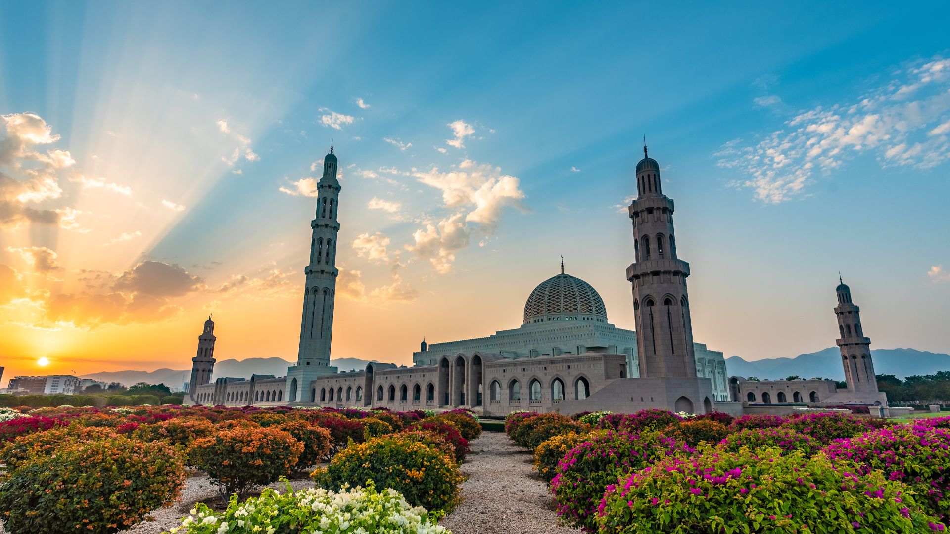Le cœur d'Ammar et la chemise d'Omar : pourquoi la foi est importante