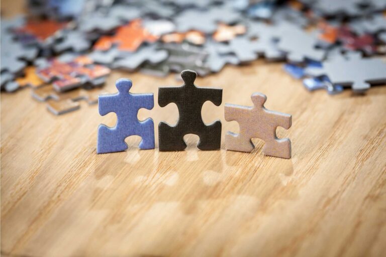 Puzzle de maîtrise de base de la polygynie : 9 défis à résoudre