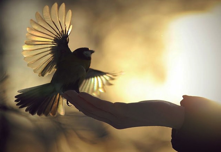 Il est facile d’effacer les péchés en Islam