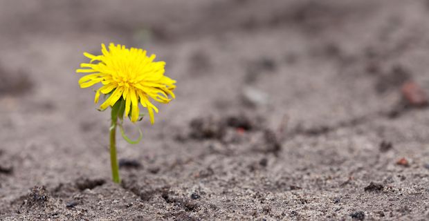 Moïse et Al-Khidr : modèle de résolution