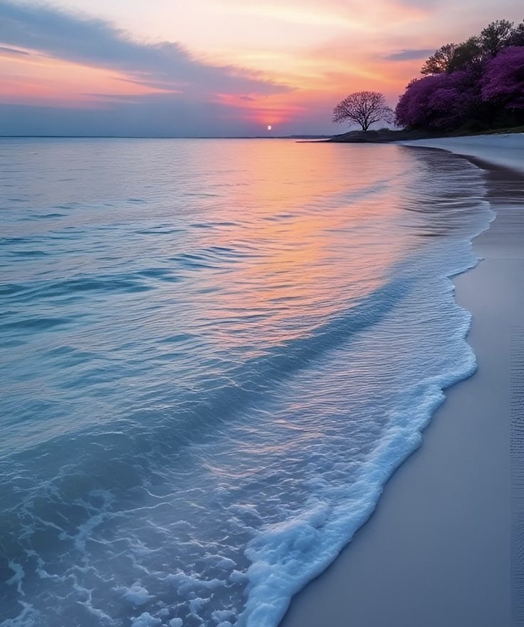 Quelle est la véritable essence de l’Islam ?