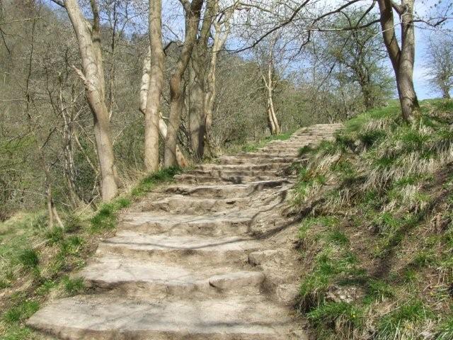 Perdre espoir dans la direction de Dieu : que faire ?