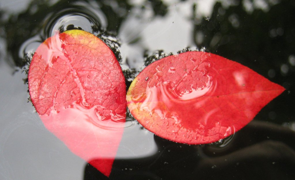 Mélanger avec le sexe opposé