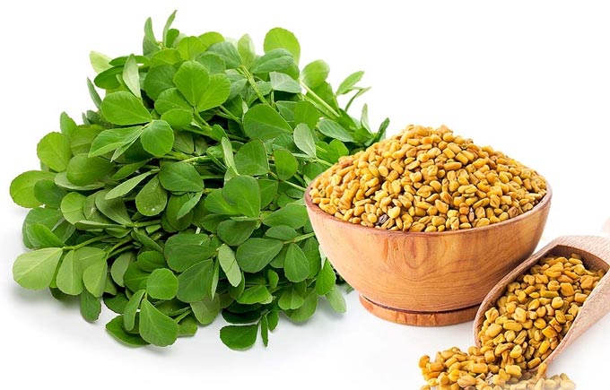 Herbes exotiques dans les hadiths prophétiques