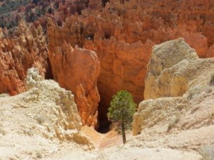 Comment devenir sans péché