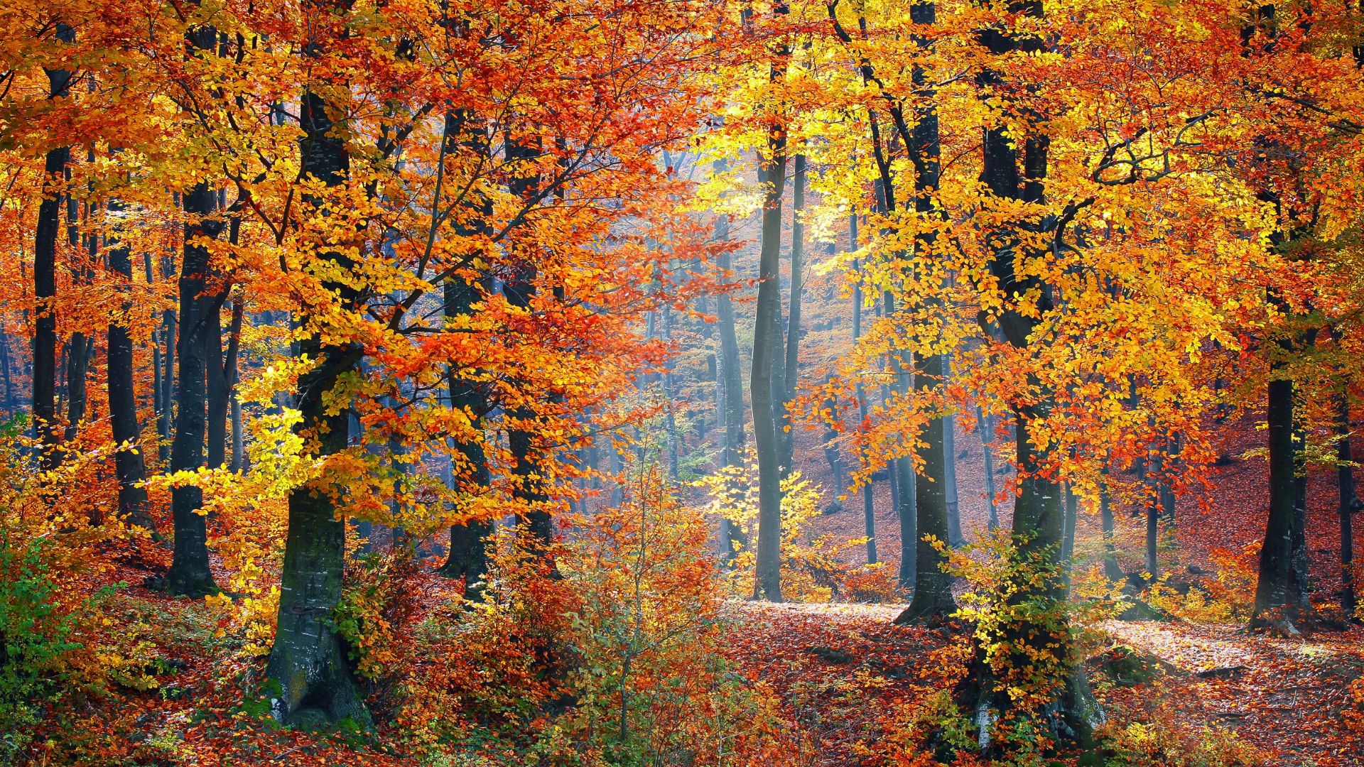 8 versets du Coran sur la Terre qui font réfléchir