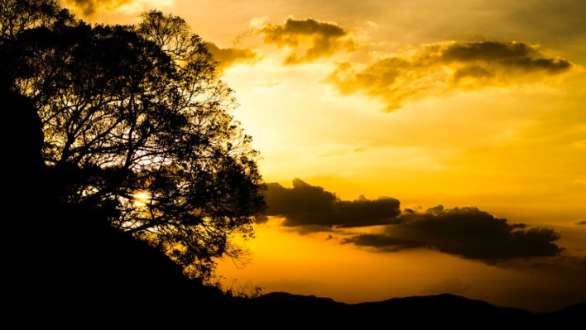 C'est Rajab ; Commencez à préparer le Ramadan !