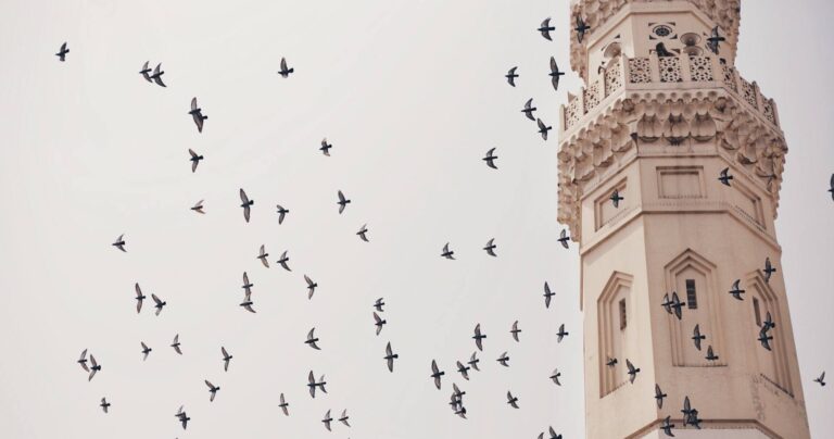 Ce que le Prophète a dit à son arrivée à Médine