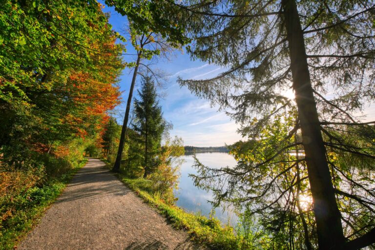 Aide pour les nouveaux musulmans après avoir pris le shahadah