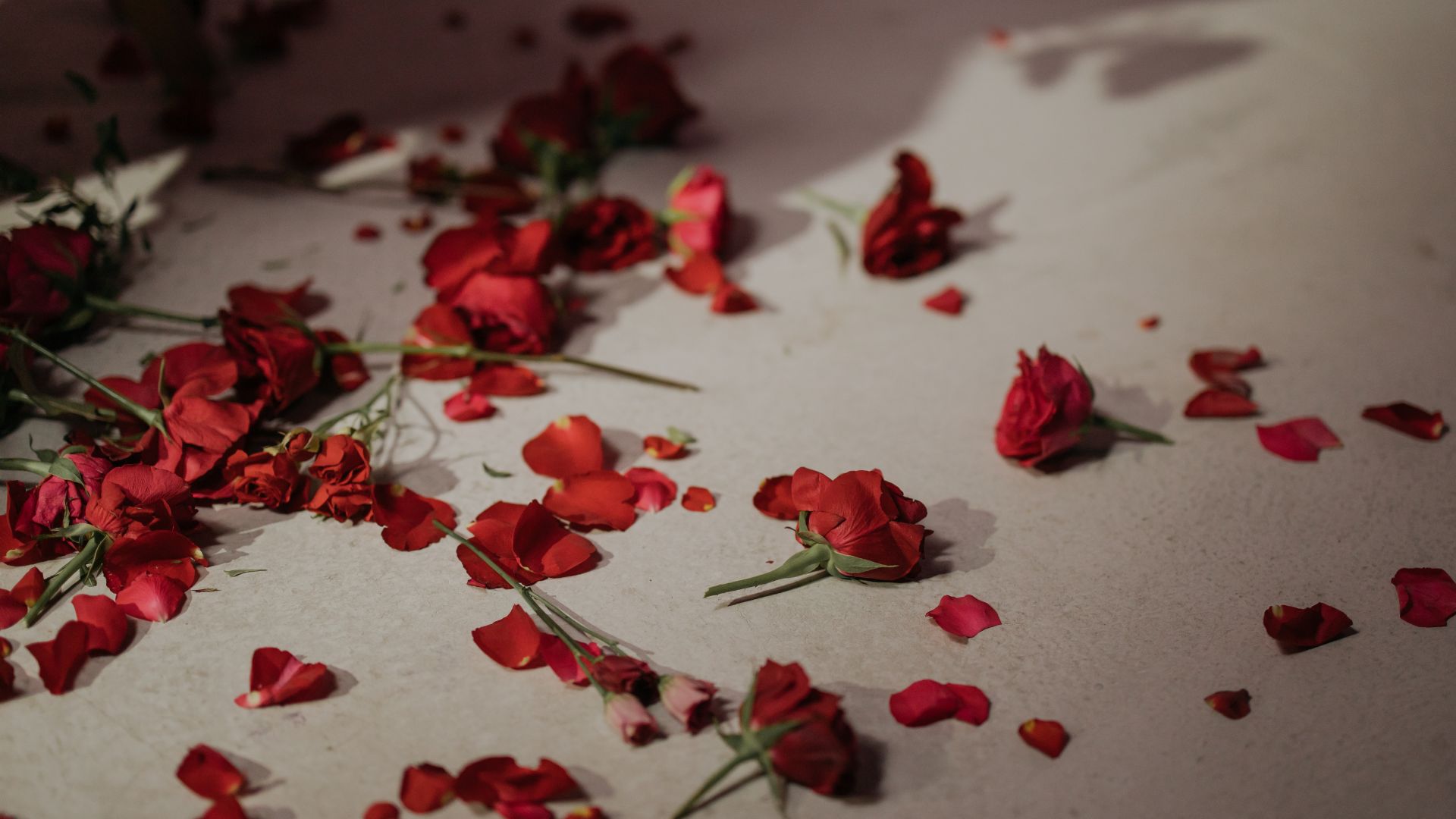 Demandez au conseiller le mariage et les relations