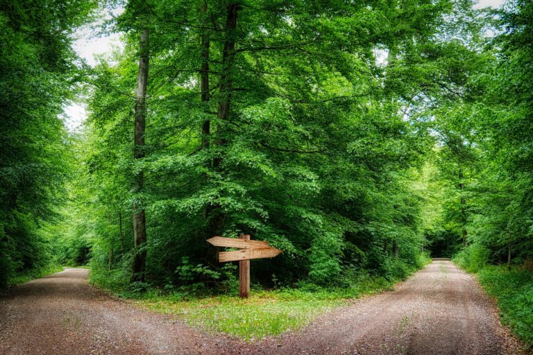 Si Dieu a tout déterminé, les humains n'ont-ils pas la liberté d'action?