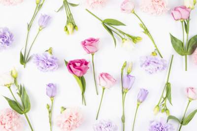 Une fille peut-elle se marier pendant la période à l'islam?