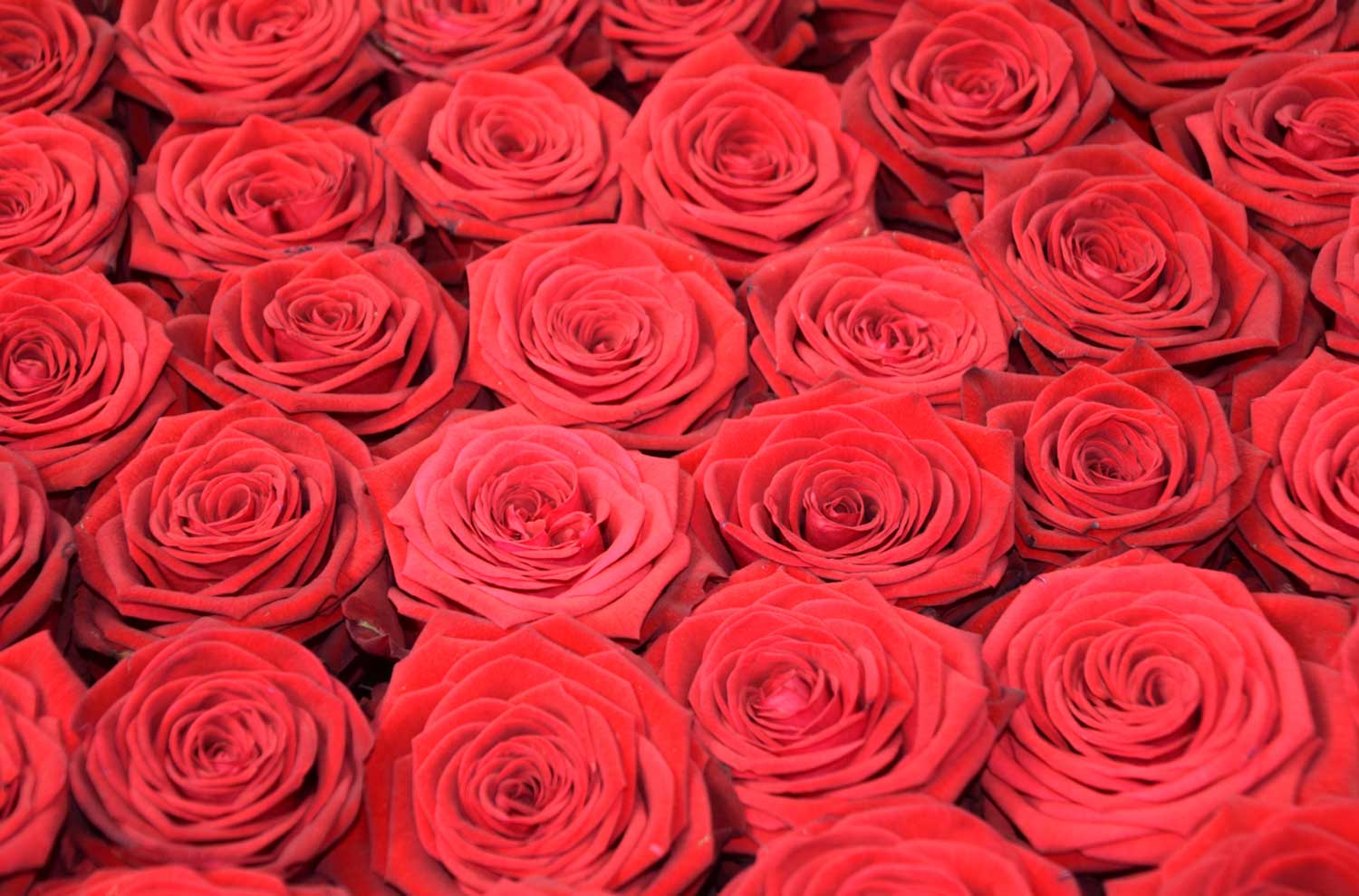 Comment se repentir pour le sexe et ne pas jeûner au Ramadan