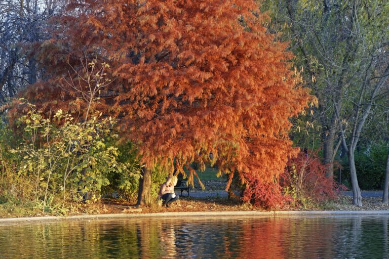 Le Ramadan n'est pas le mois de la solitude