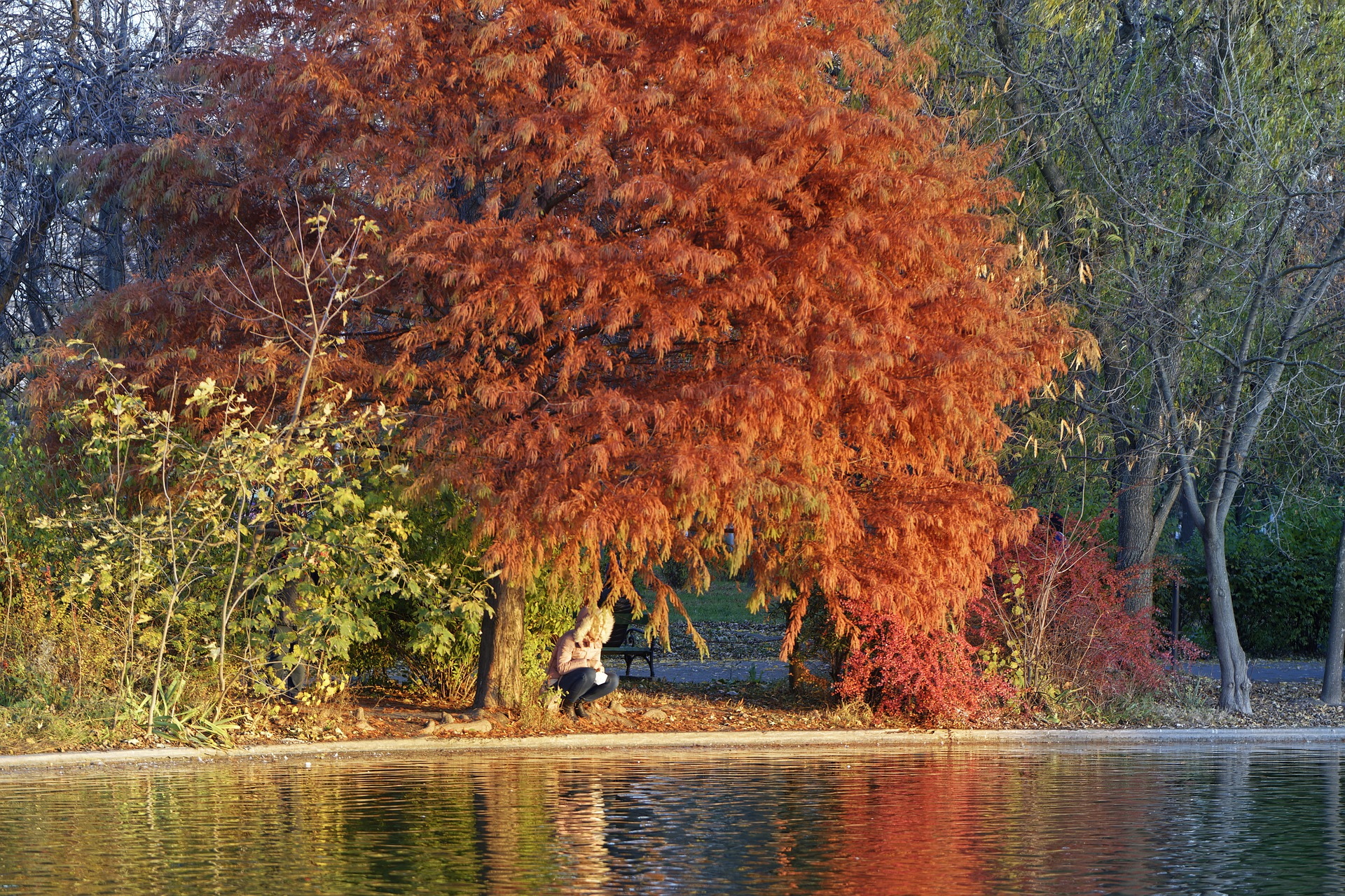 Le Ramadan n'est pas le mois de la solitude