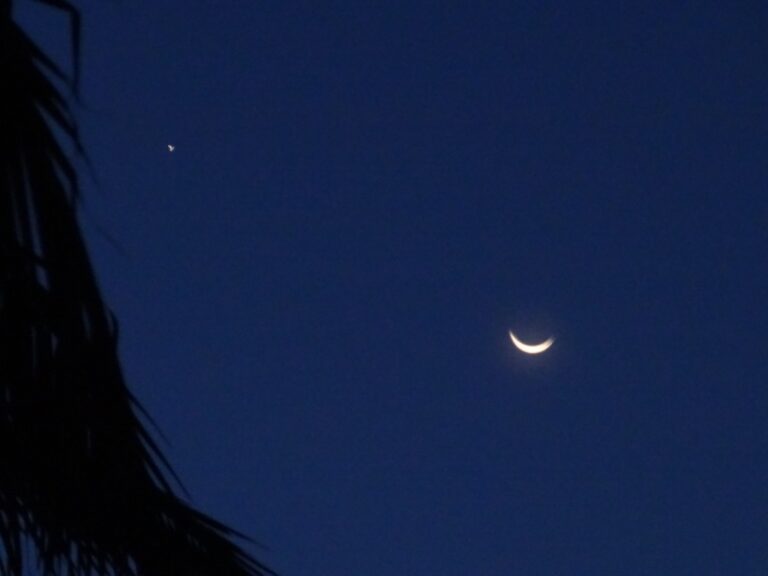 Qu'est-ce que Laylatul Qadr et que faire dedans?