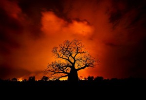 Comprendre Allah, Jésus et le Saint-Esprit