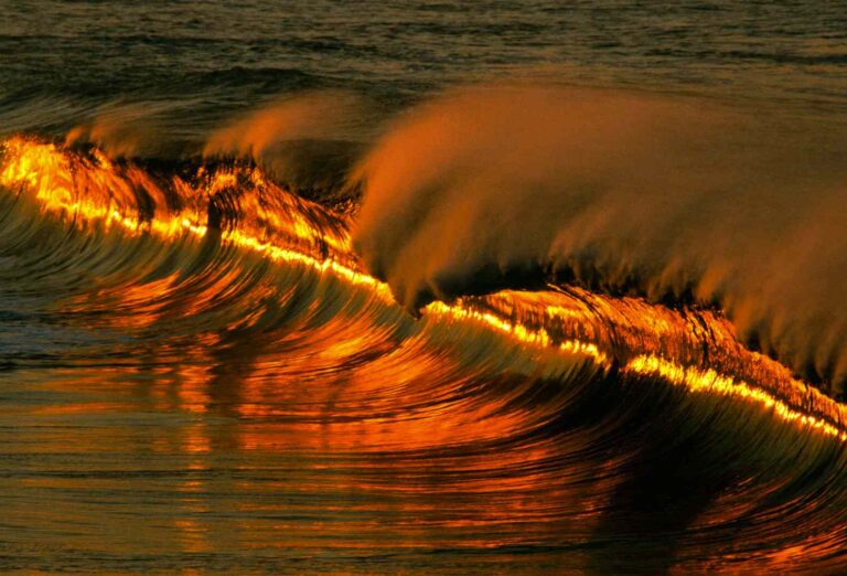 Comprendre Allah, Jésus et le Saint-Esprit