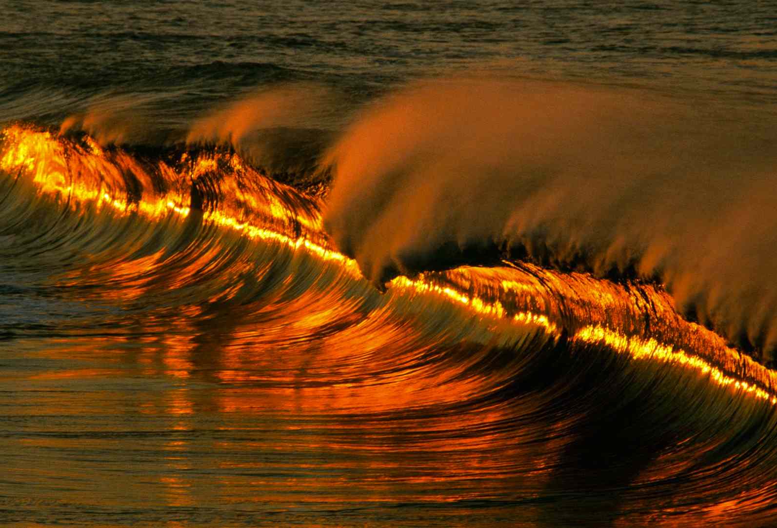 Comprendre Allah, Jésus et le Saint-Esprit