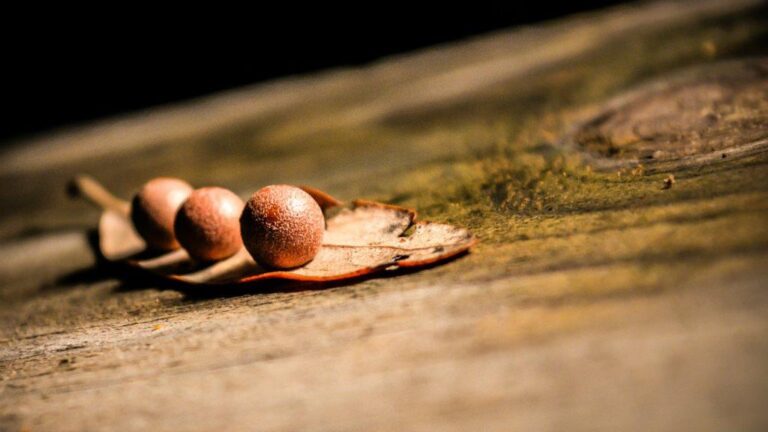 Pourquoi Dieu a-t-il besoin de la foi de notre part?