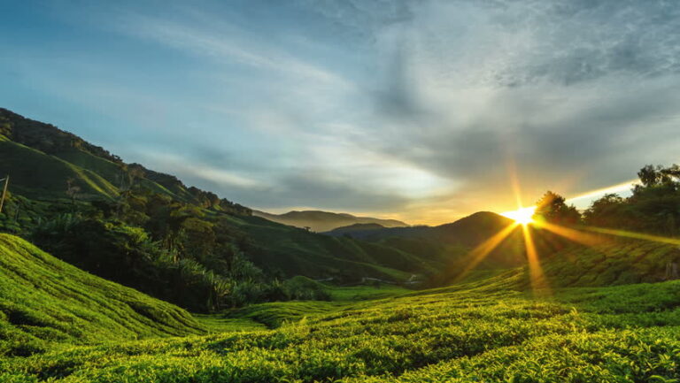 Dhul Hijjah; Les jours qu'Allah jure