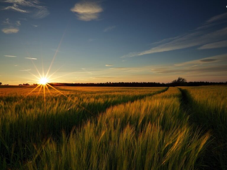 Les musulmans en tant qu'hommes et femmes de foi: faites confiance à Allah