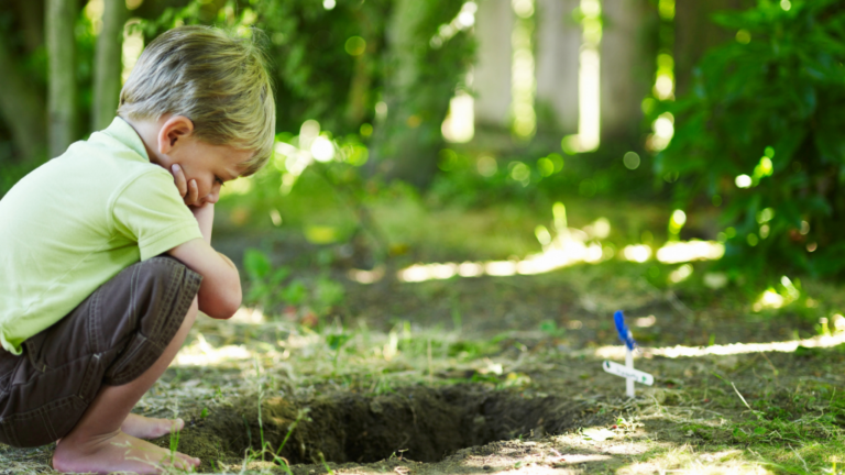 Comment retourner à la prière après la perte d'animaux de compagnie en Islam
