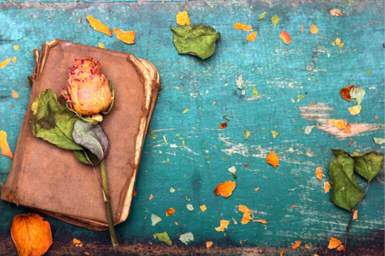 Je n'ai aucun sentiment pour mon mari