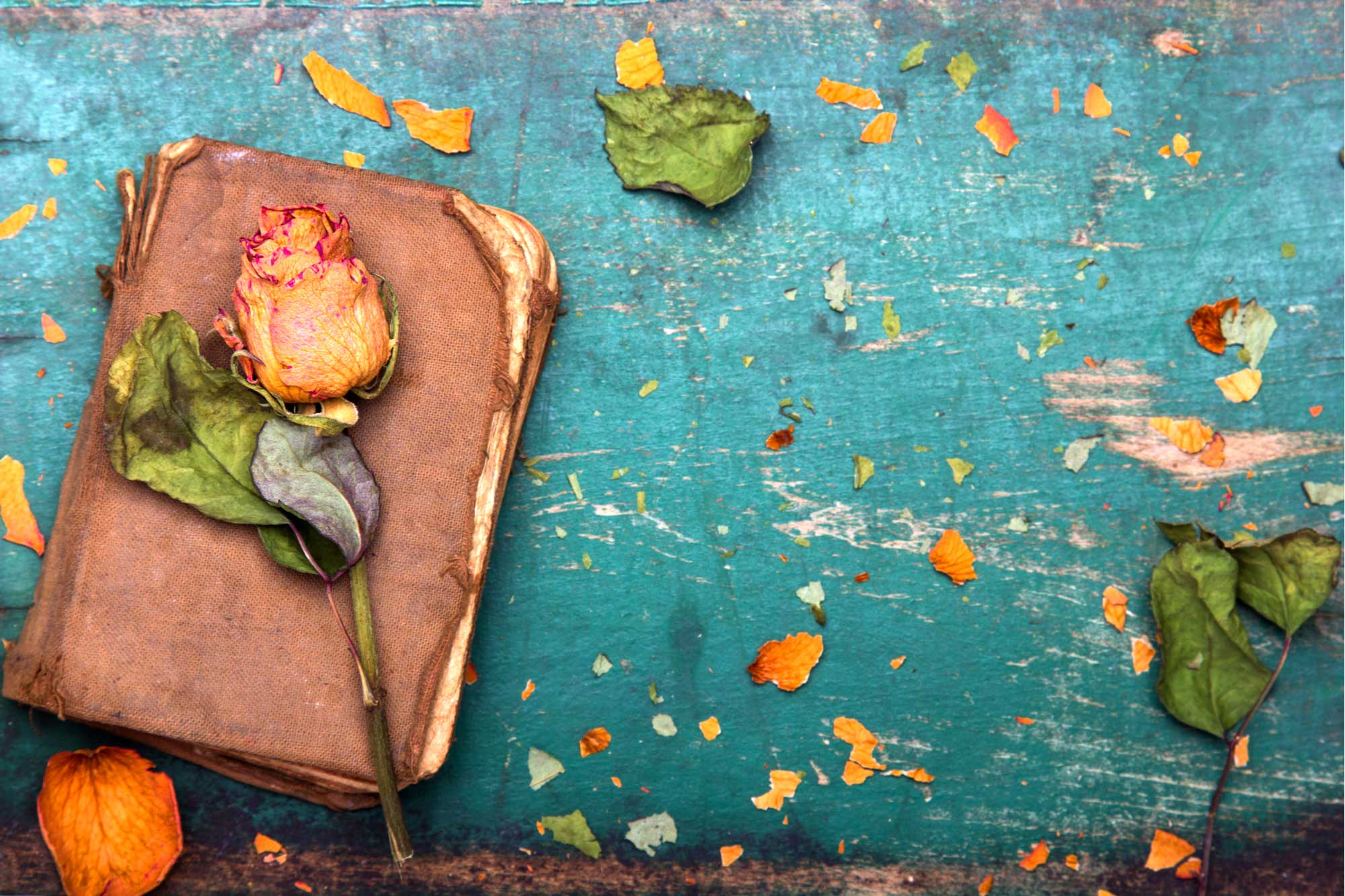 Je n'ai aucun sentiment pour mon mari