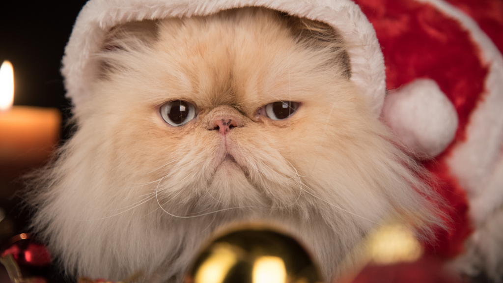 Les musulmans peuvent-ils utiliser des produits avec des images du Père Noël?