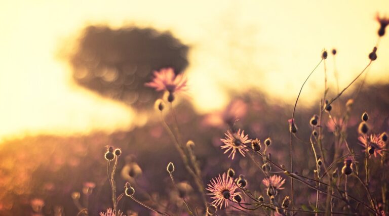 Toxicomane en récupération: Allah me pardonnera-t-il pendant que je suis propre?