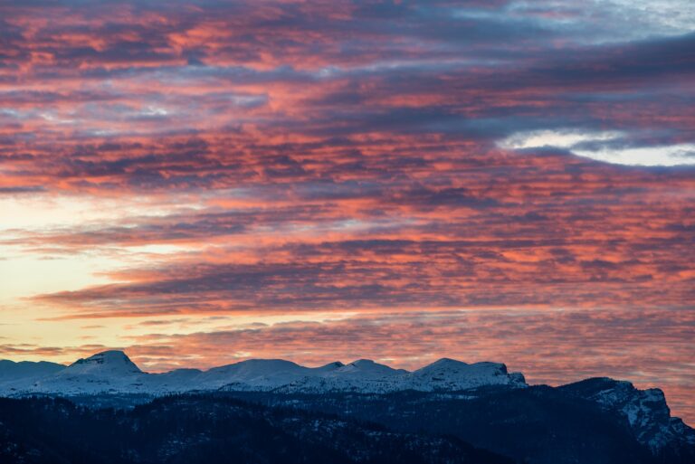 Dans l'attente du monde éternel