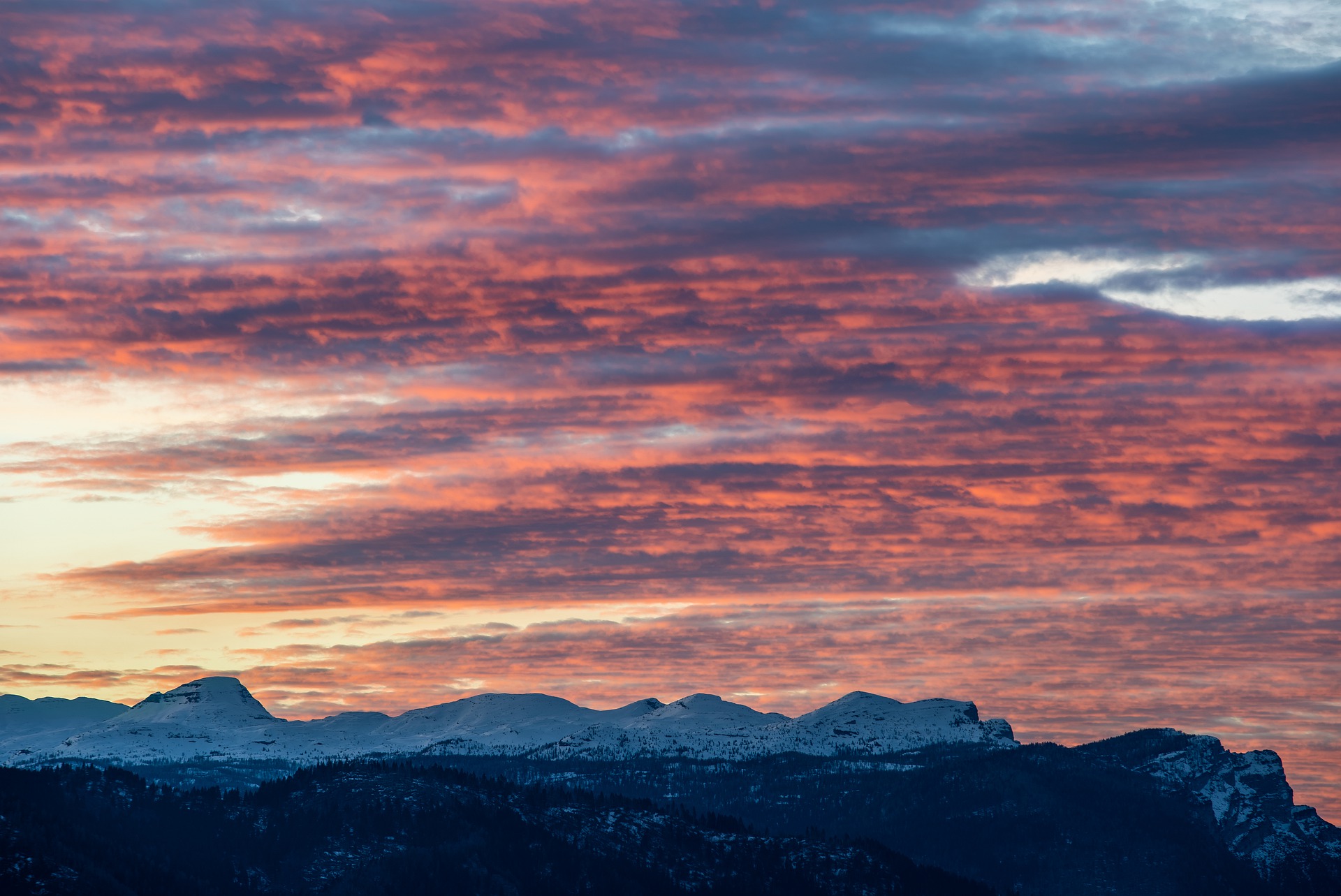 Dans l'attente du monde éternel