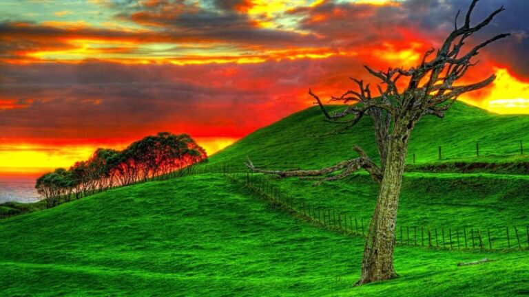 L'histoire du prophète Yusuf et de l'épouse d'Al-Aziz